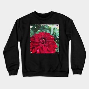 Red Layers Crewneck Sweatshirt